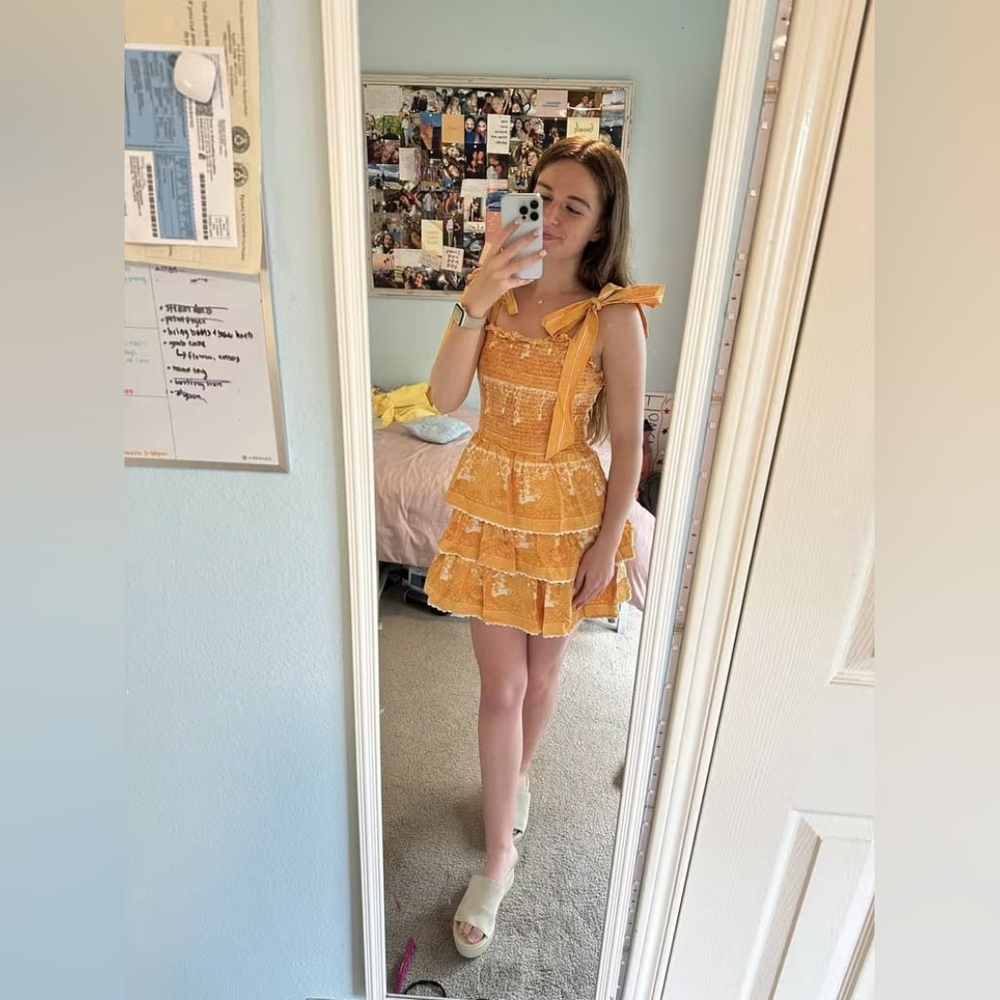 017 CLEOBELLA Eliana Mini Dress - Picture 3 of 11